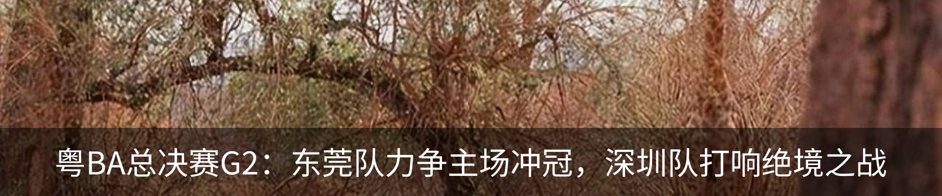 内页banner